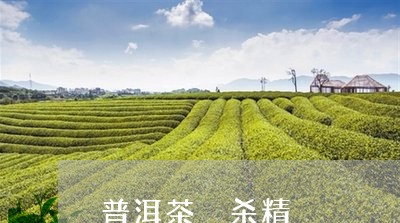 普洱茶 杀精/2023042734880